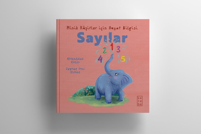 Sayılar - Thumbnail